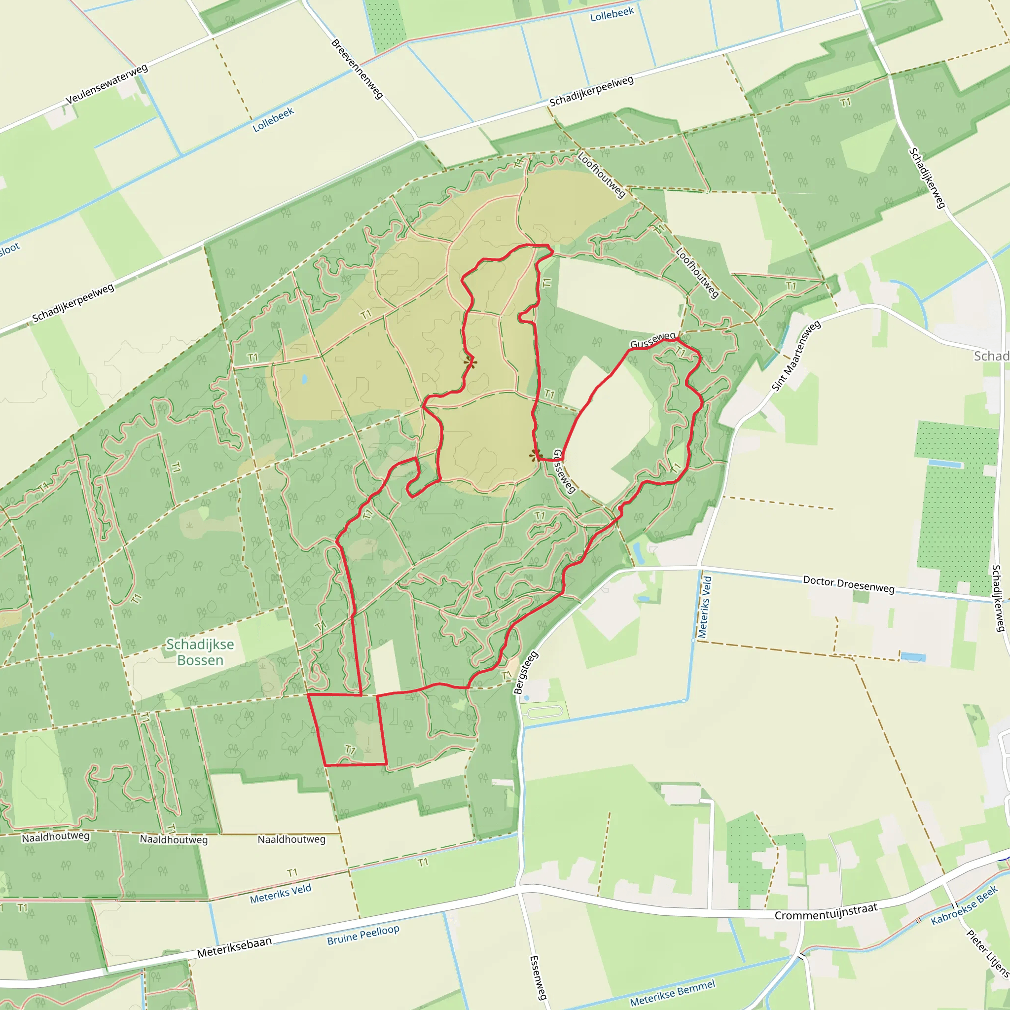 Schadijke Bossen and Sint Martinsberg Loop mobile static map