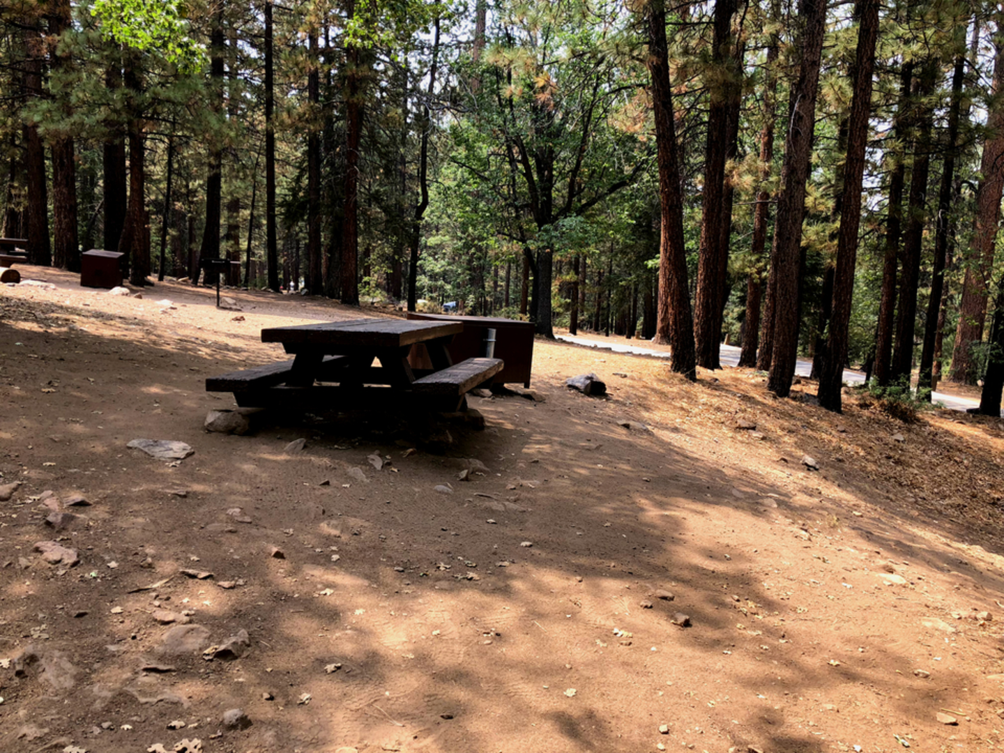An image depicting the trail Pine Knot Trail to Grand View Point and its surrounding area.