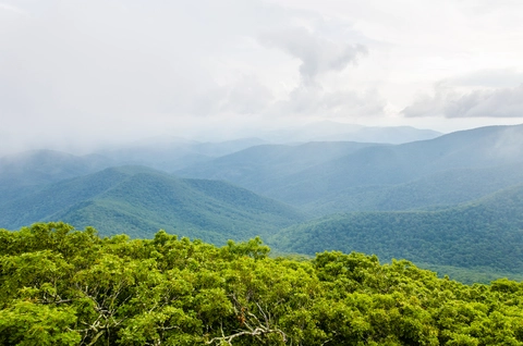 An image depicting the trail Mount Pleasant via Henry Lanum Memorial Trail and its surrounding area.