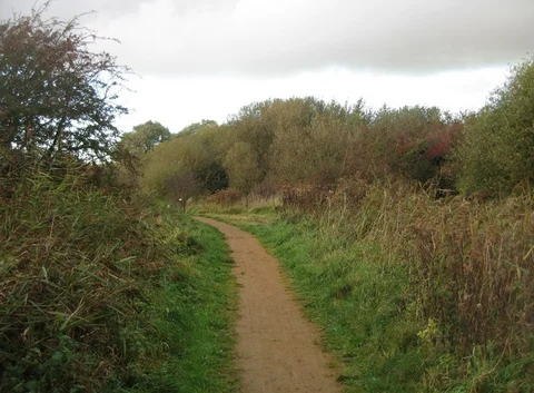 An image depicting the trail River Shep and RSPB Fowlmere Nature Reserve and its surrounding area.