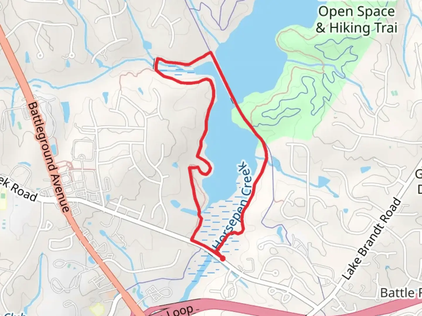 An image depicting the trail Palmetto Trail and Nat Greene Trail Loop - Lake Brandt and its surrounding area.