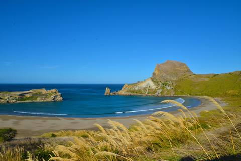 Deliverance Cove Track