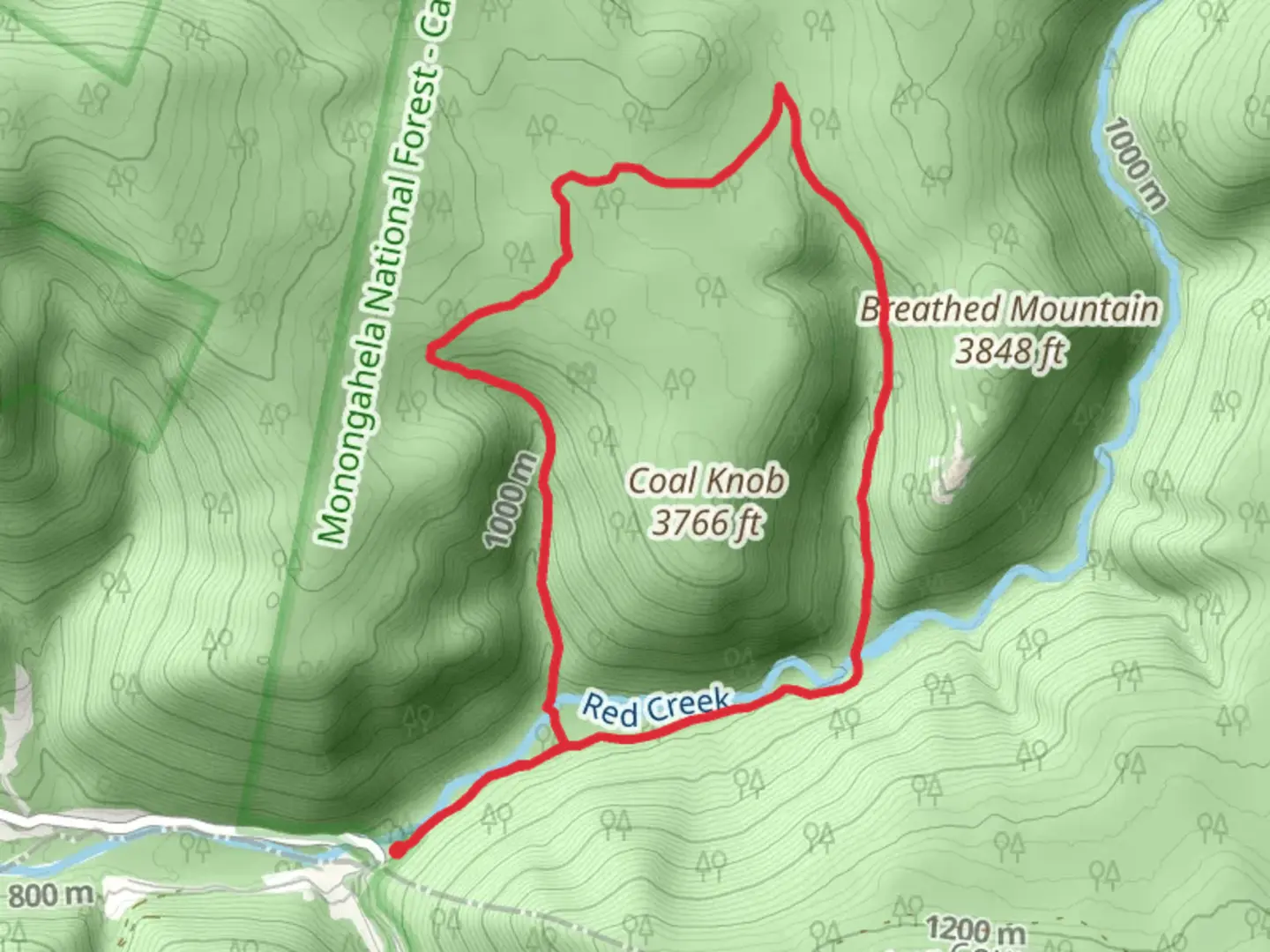 An image depicting the trail Little Stonecoal, Dunkenbarger and Big Stonecoal Loop Trail and its surrounding area.