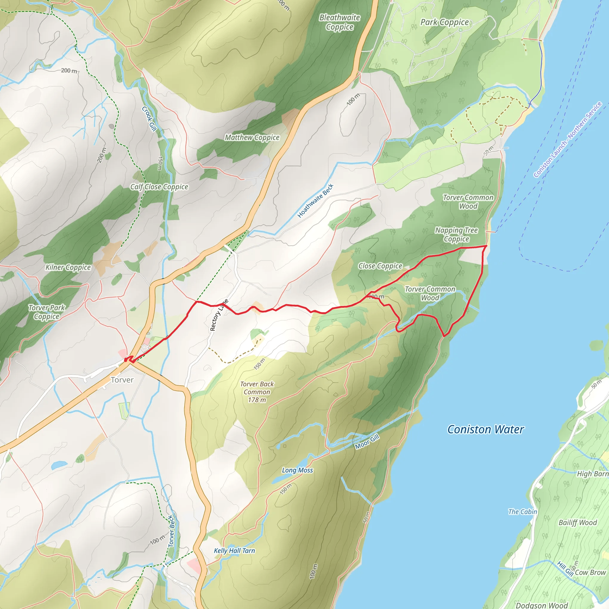 Coniston Water and Torver Common Wood mobile static map