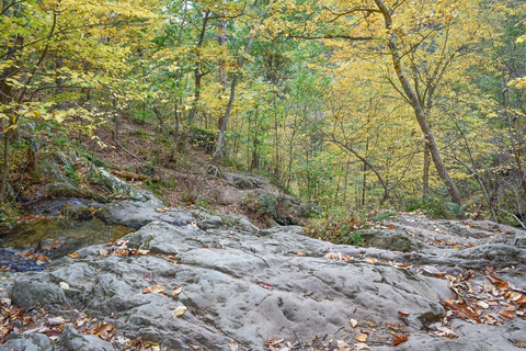 An image depicting the trail Lands Run Falls Trail and its surrounding area.