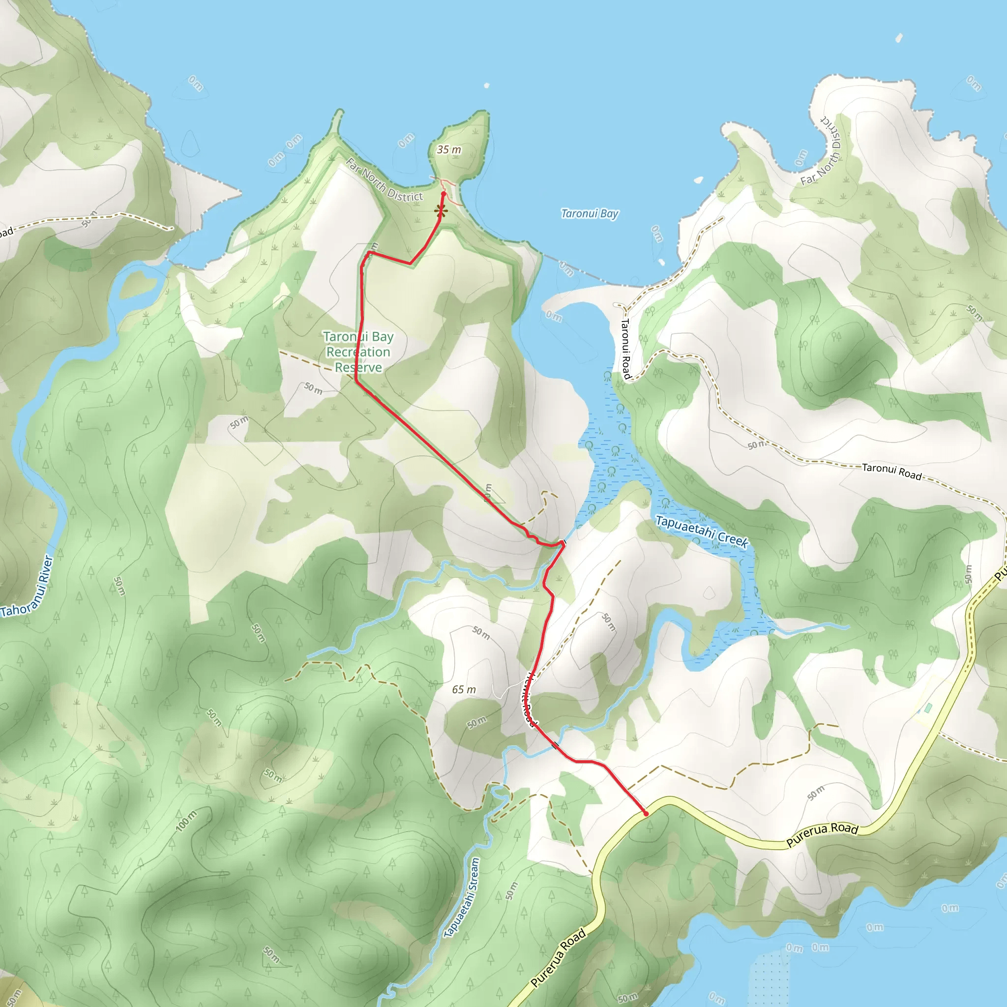 Taronui Bay Recreation Reserve Track mobile static map