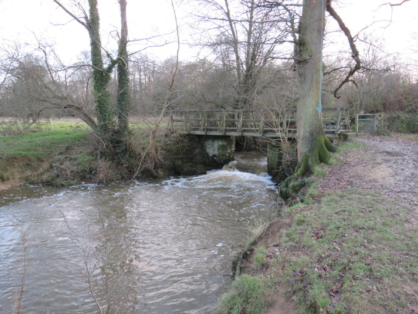An image depicting the trail Lingfield to Haxted Loop and its surrounding area.