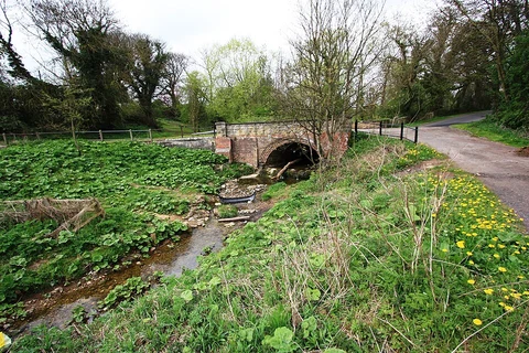 An image depicting the trail Dalton Le Dale Country Park Loop and its surrounding area.