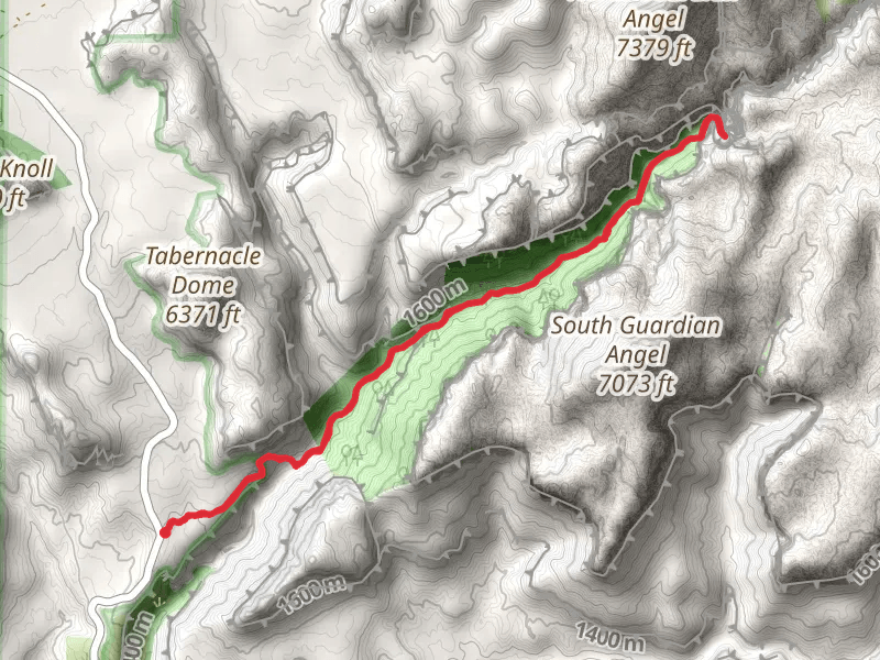 The Subway Bottom-Up Approach