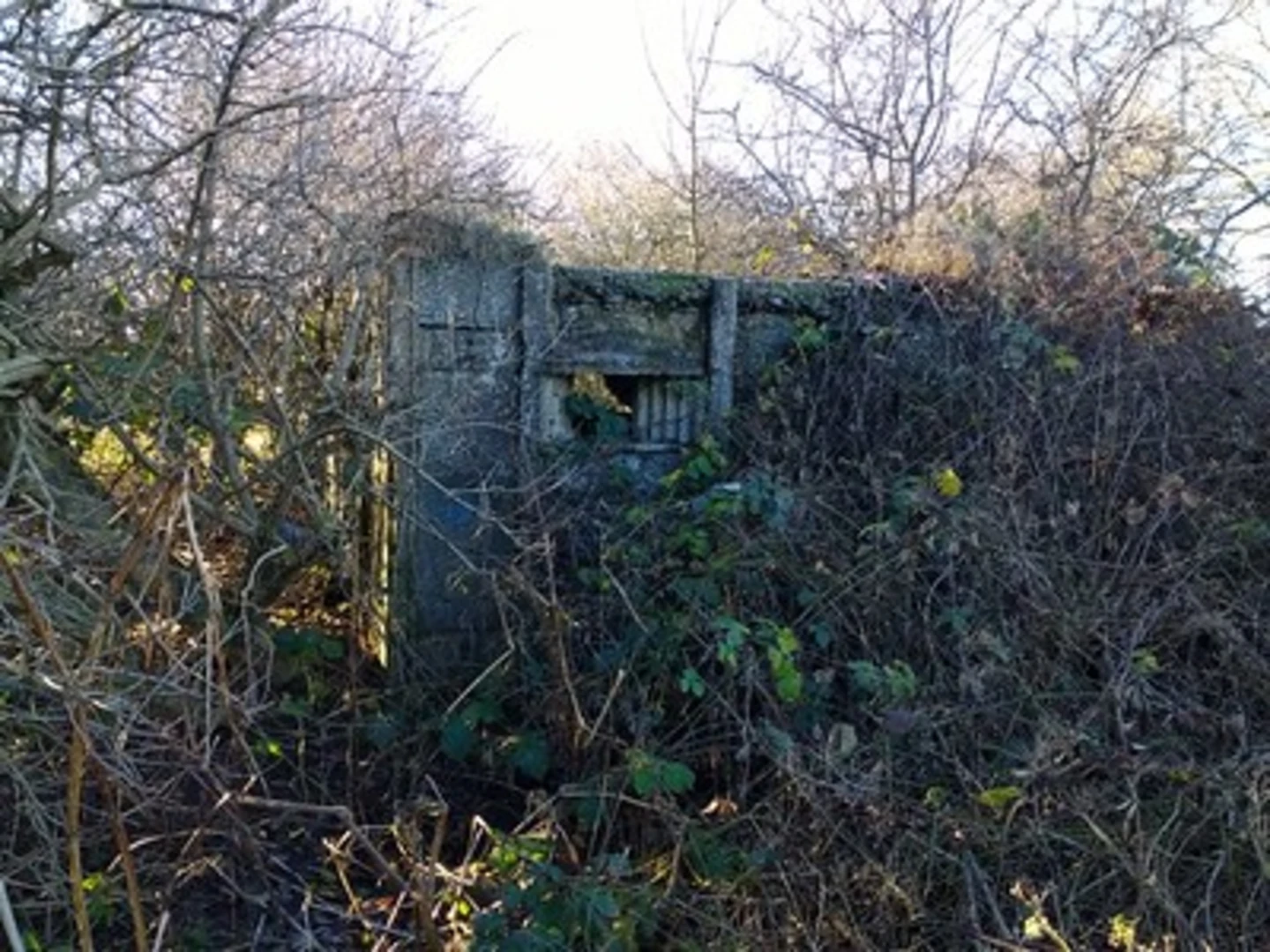 An image depicting the trail Rose Garden, Croft Mill and Stapleton Loop and its surrounding area.