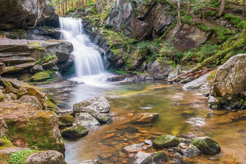 An image depicting the trail Monoway Trail via Amphibrach Trail and its surrounding area.