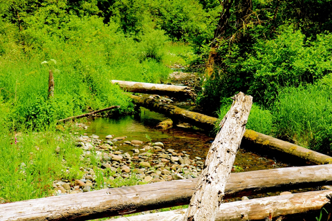 An image depicting the trail Independence Rock Trail and its surrounding area.