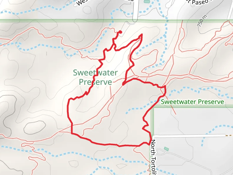 Wildflower Ridge, Oxbow and Night Hawk Loop Trail