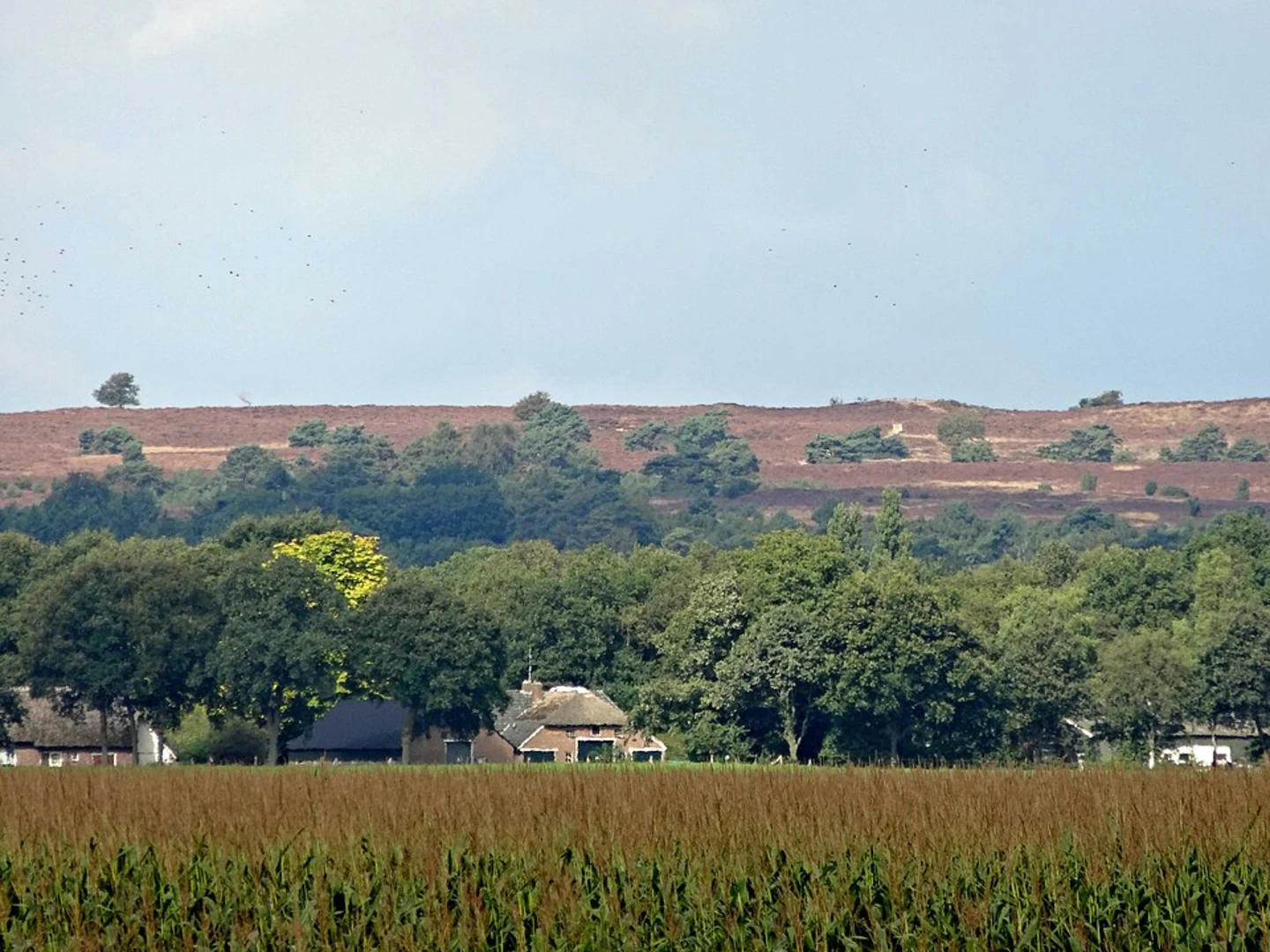 An image depicting the trail Lemelerberg via Rolstoelpad and its surrounding area.