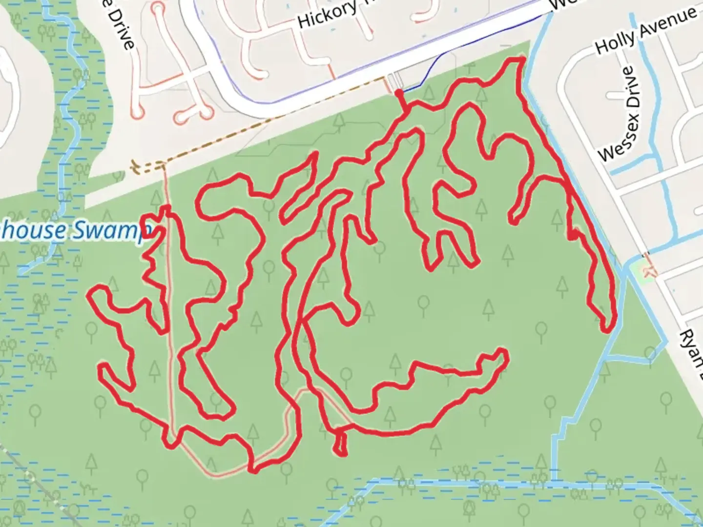 An image depicting the trail Wannamaker North Loop Trail and its surrounding area.