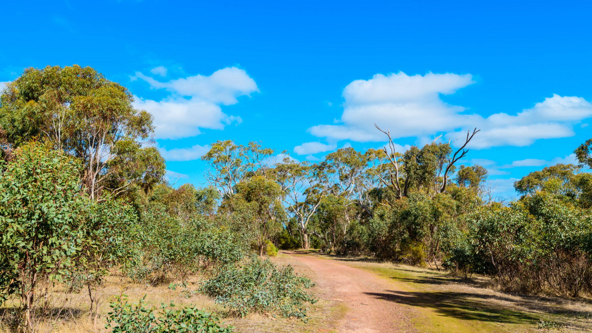 An image depicting the trail Pingle Farm Trail via Estuary and its surrounding area.