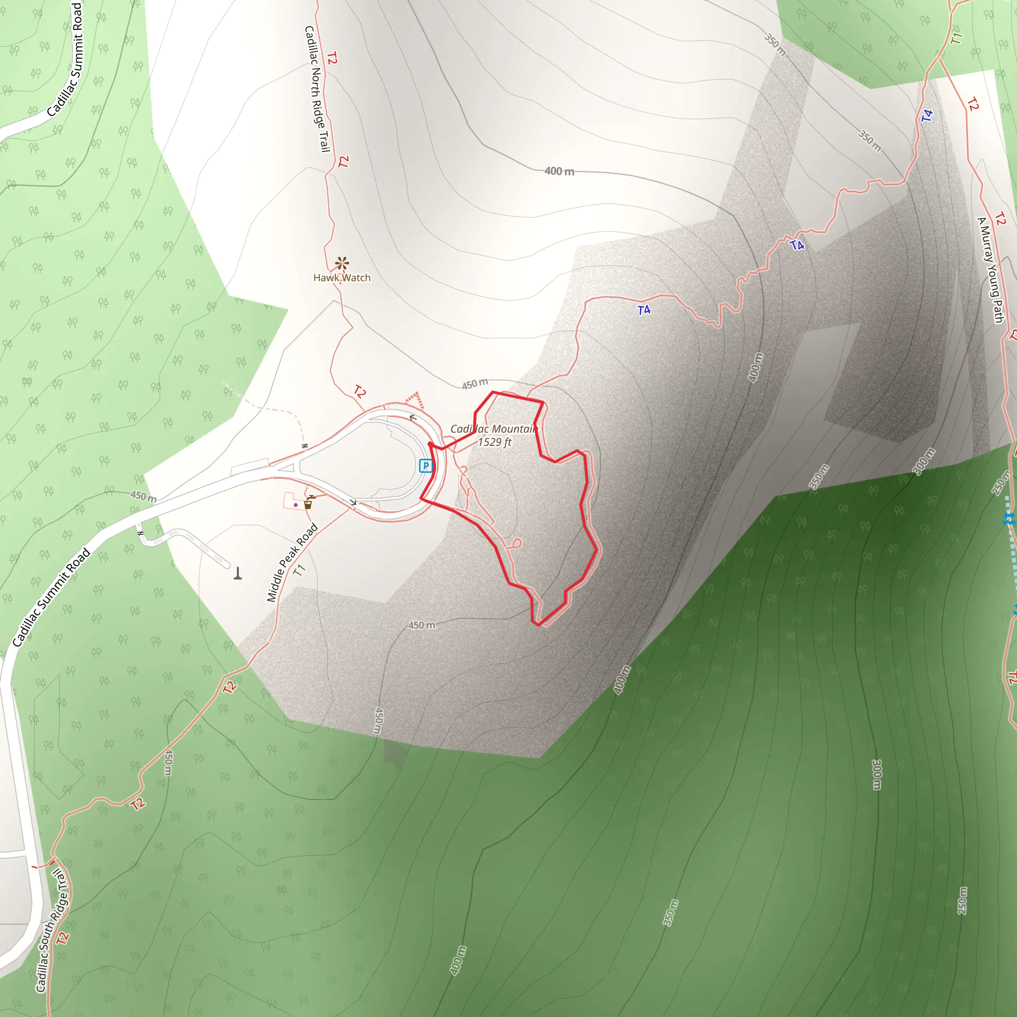 Cadillac Summit Loop Trail mobile static map