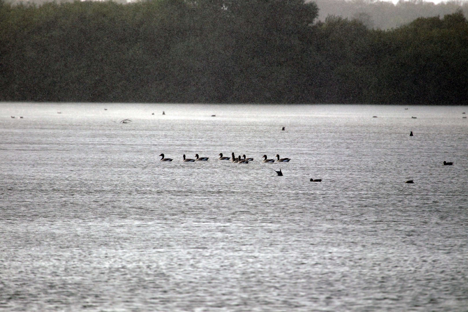 An image depicting the trail Noorderstrand to Zuiveringsinst via Waterstaatpad and Ree Weg and its surrounding area.