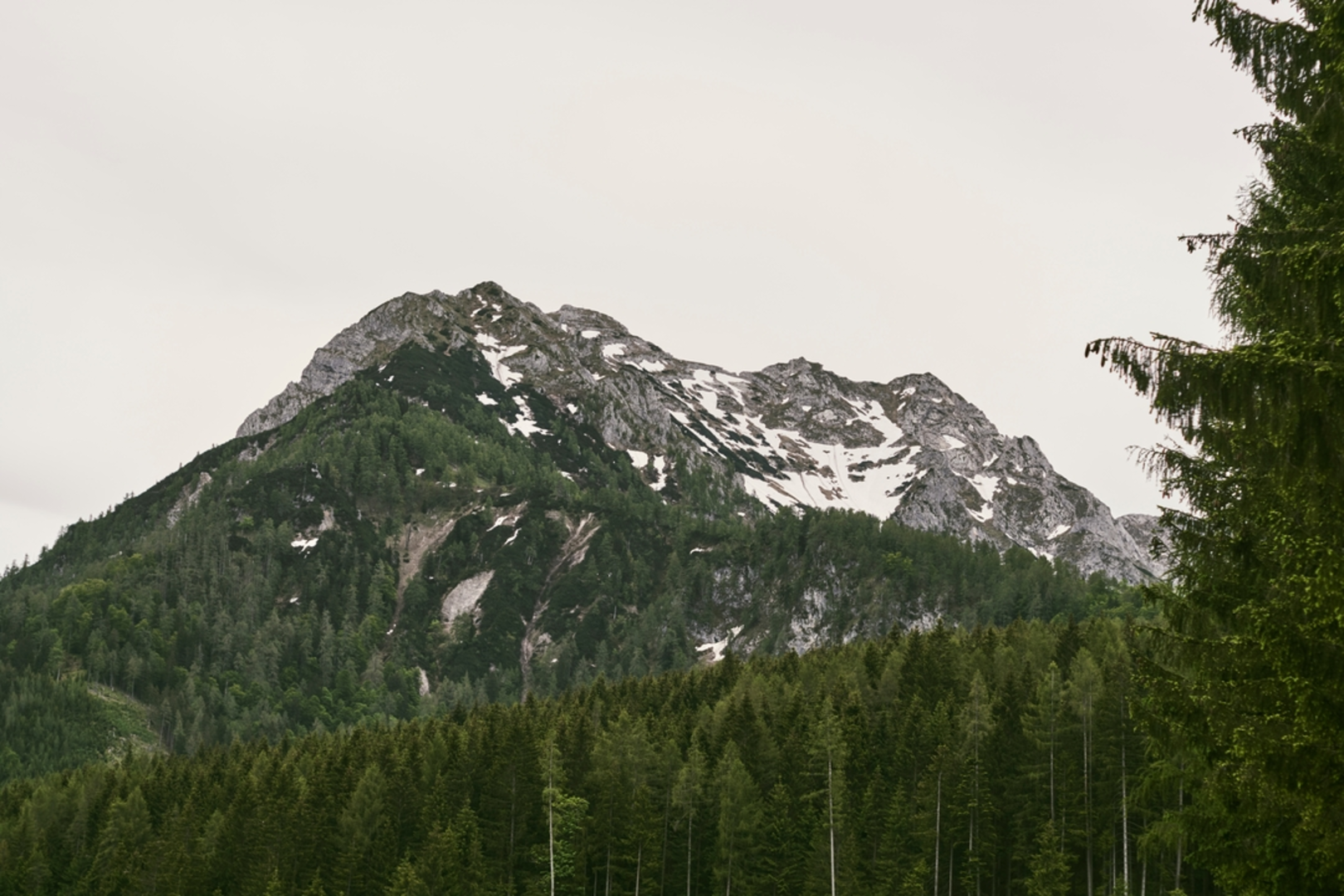 An image depicting the trail Rohrauerhaus via Hofalm to Gowilalm and its surrounding area.