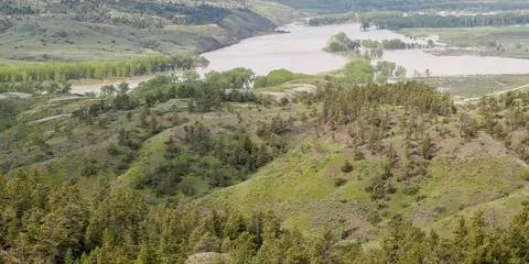 An image depicting the trail Ridge Runner Trail and its surrounding area.