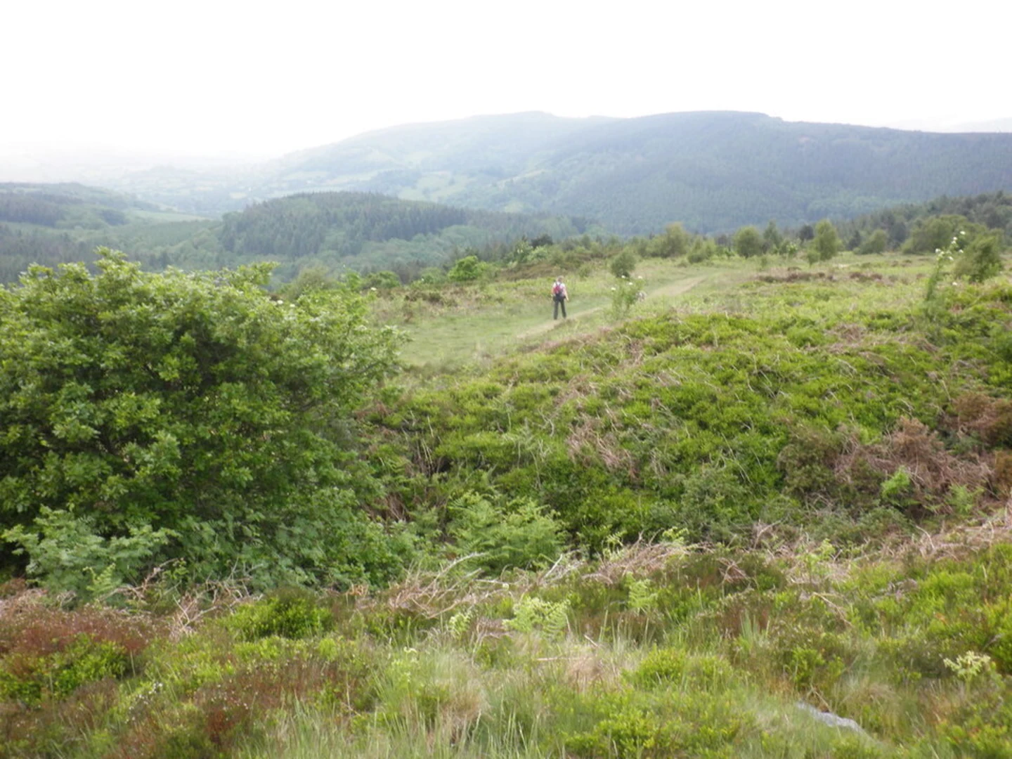 An image depicting the trail Dunster and Bats Castle Loop and its surrounding area.