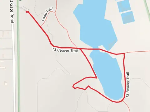 The 13 Beaver Trail