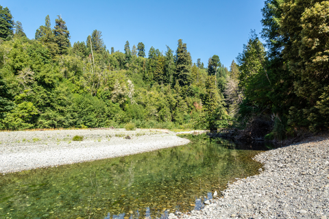 An image depicting the trail McArthur Creek Loop Trail and its surrounding area.