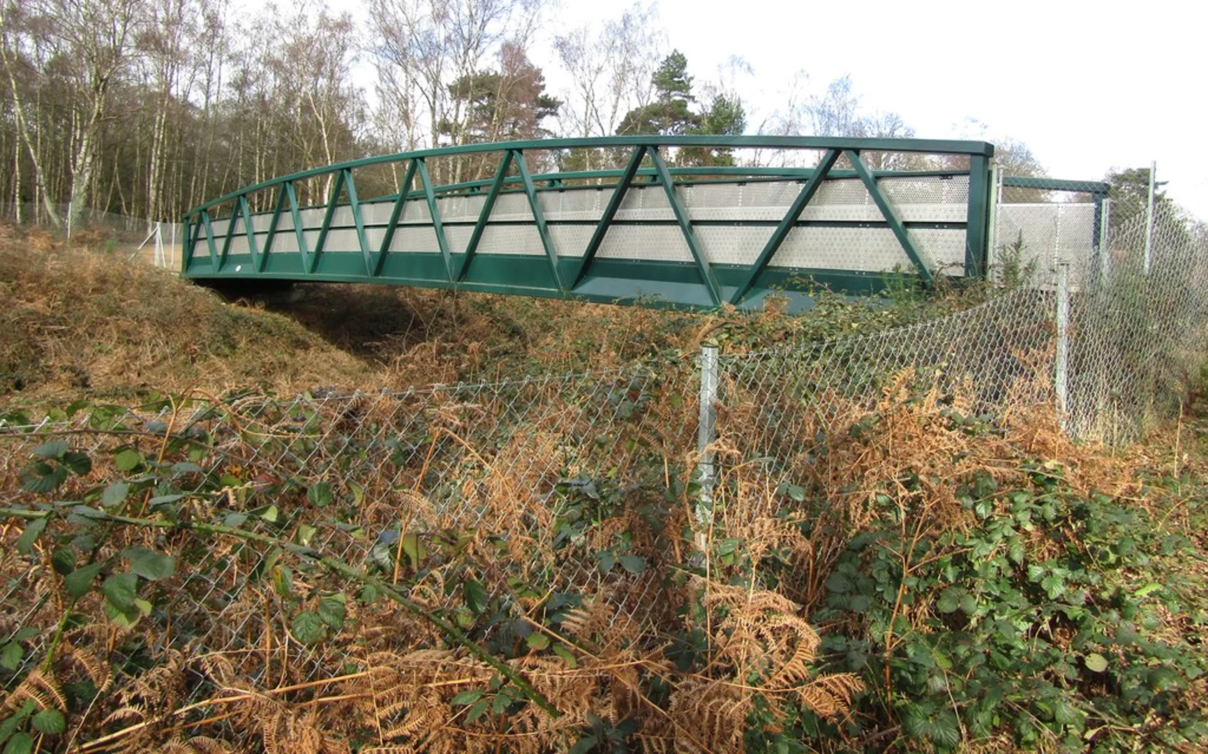 An image depicting the trail Oxmore Copse and Gomshall Loop and its surrounding area.