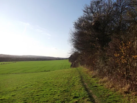 An image depicting the trail Oxted to Otford Walk and its surrounding area.