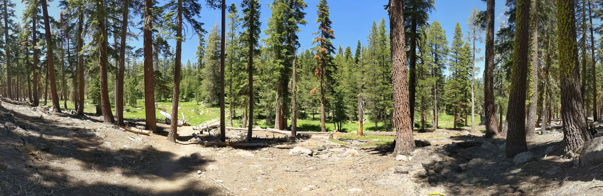 An image depicting the trail Watson Lake Trail and Tahoe Rim Trail and its surrounding area.