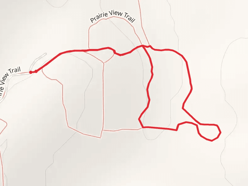 Spring Brook Trail Loop