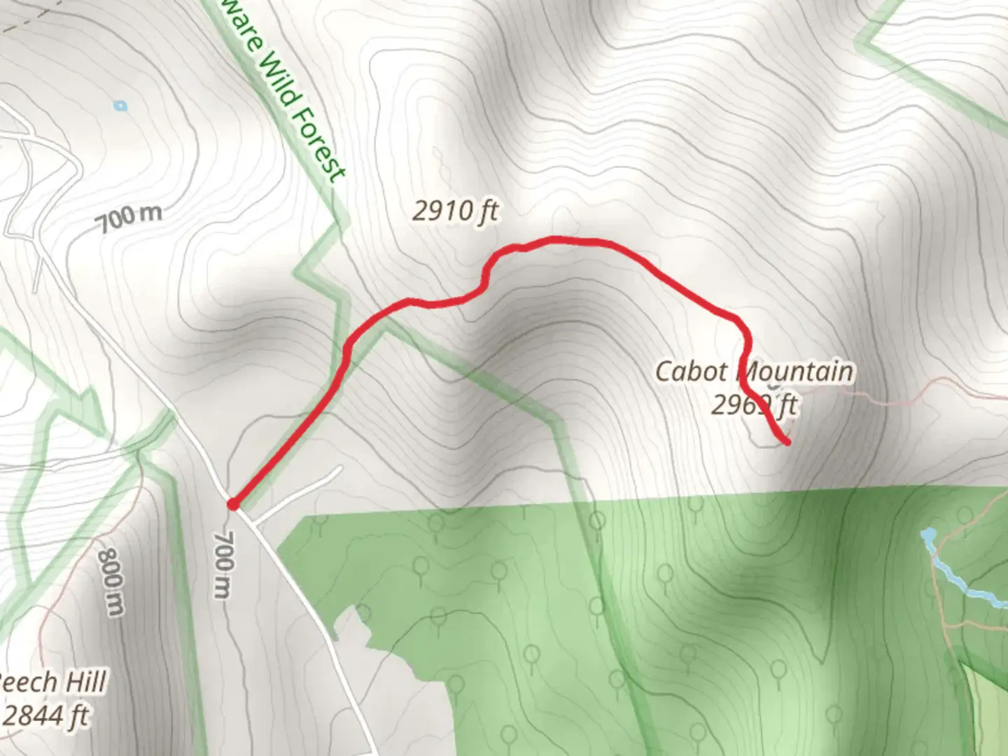 An image depicting the trail Cabot Mountain Trail and its surrounding area.
