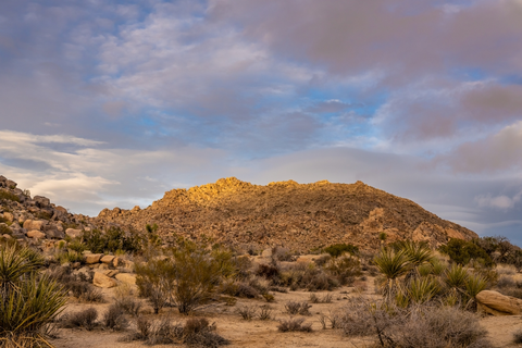 An image depicting the trail Window Loop via Maze Loop Trail and its surrounding area.
