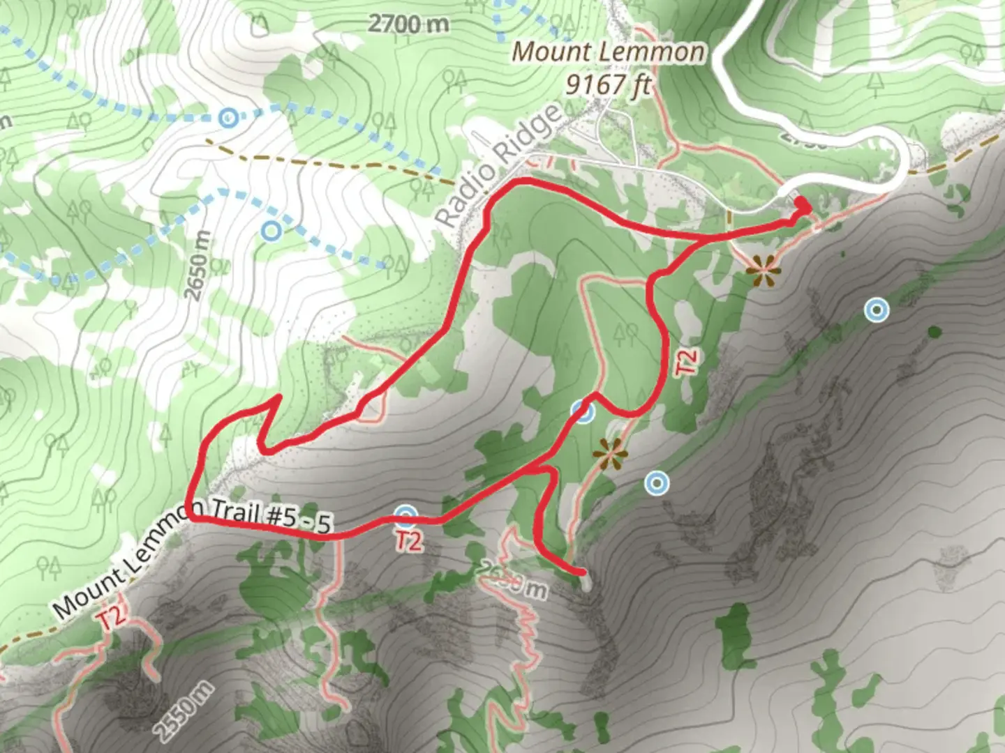 An image depicting the trail Meadow - Mount Lemmon Loop Trail and its surrounding area.