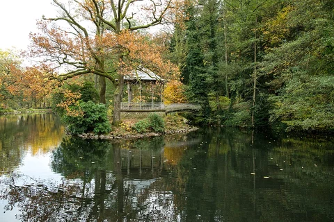 An image depicting the trail Oberer Waldsee via Beurig Rundweg and its surrounding area.