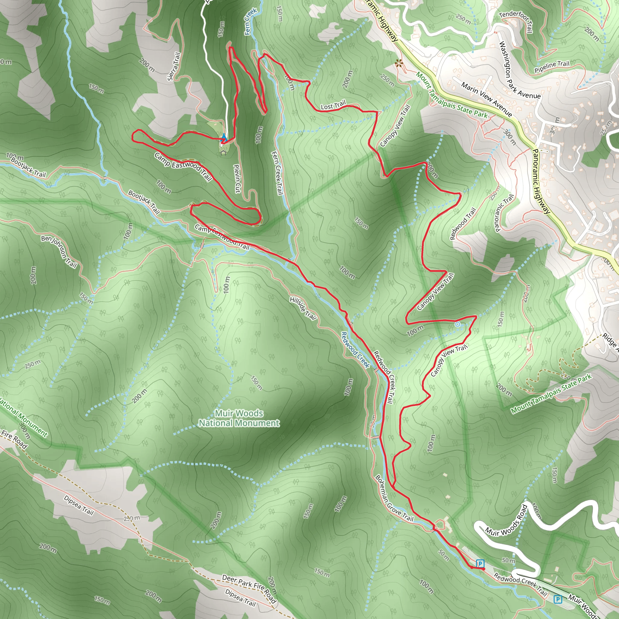 Fern Creek, Lost and Canopy Loop Trail mobile static map