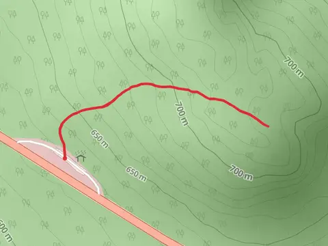 Main Street Out and Back