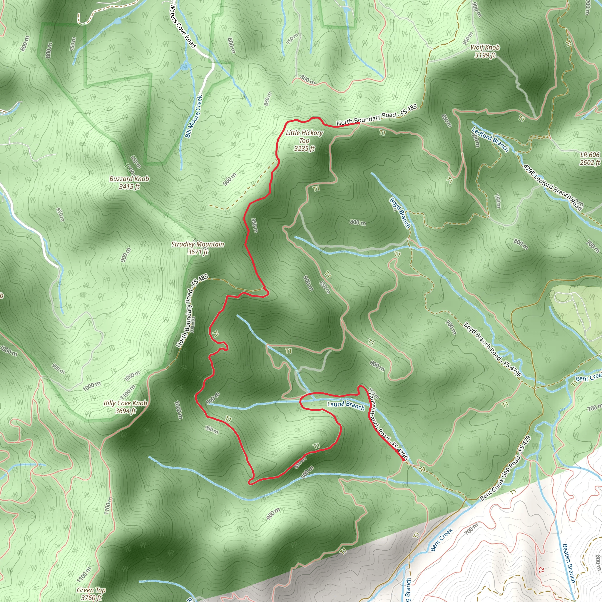 Ingles Fields Gap via Greens Lick Trail mobile static map