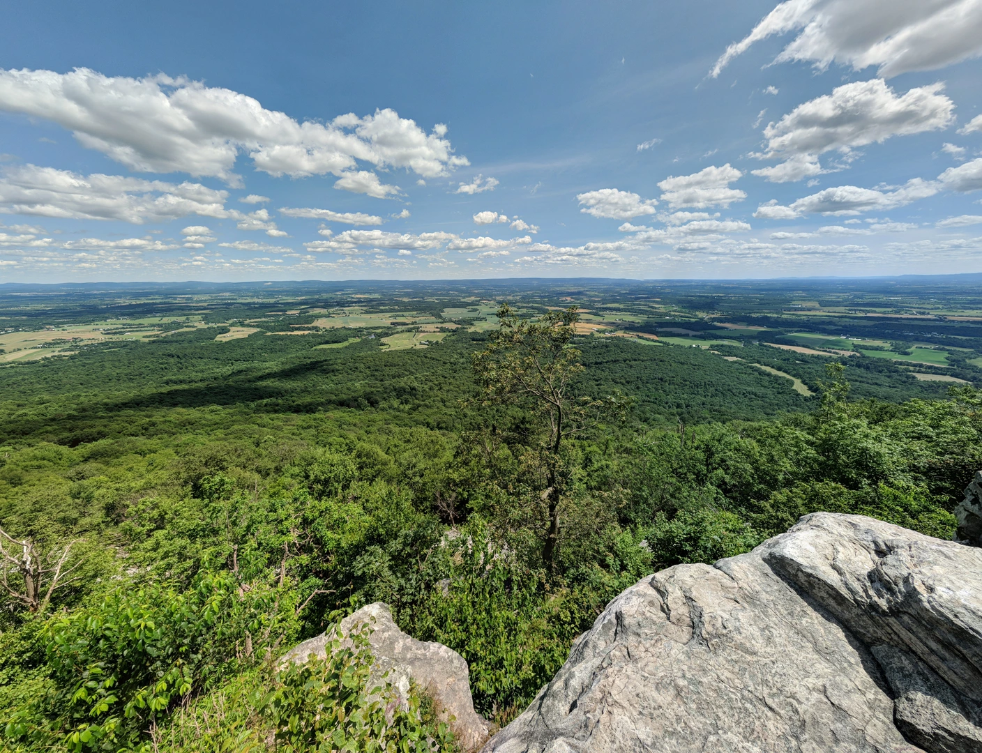 An image depicting the trail Flat Rock and Old Flat Rock Trail Loop and its surrounding area.