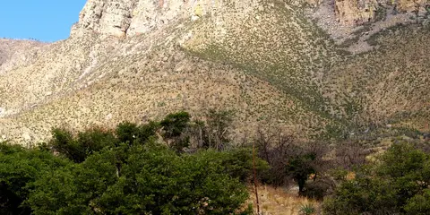 An image depicting the trail Cactus to Clouds Trail and its surrounding area.