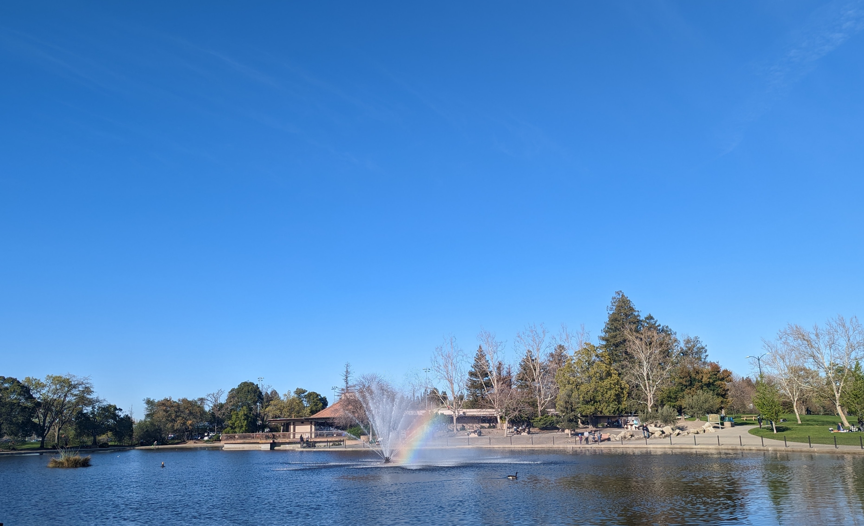An image depicting the trail Heather Farm Park Loop and its surrounding area.