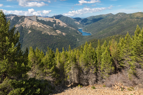 Lake Chalice Loop Track