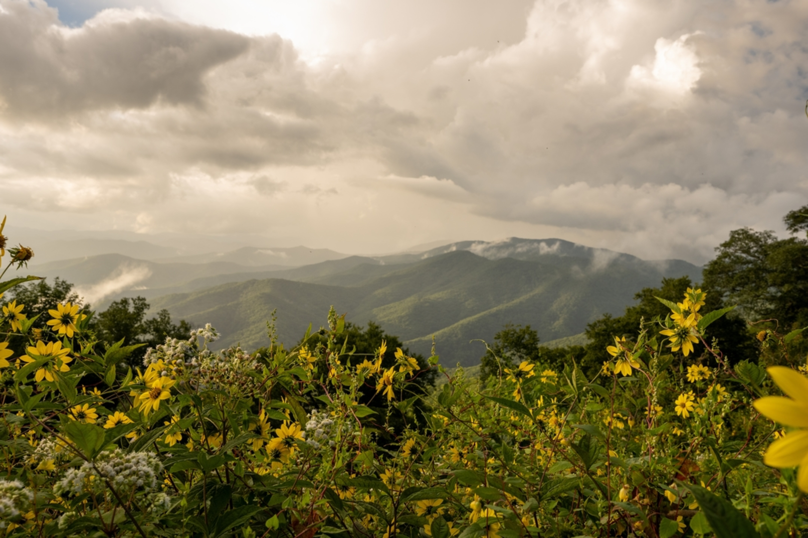 An image depicting the trail Hemphill Bald Trail and its surrounding area.