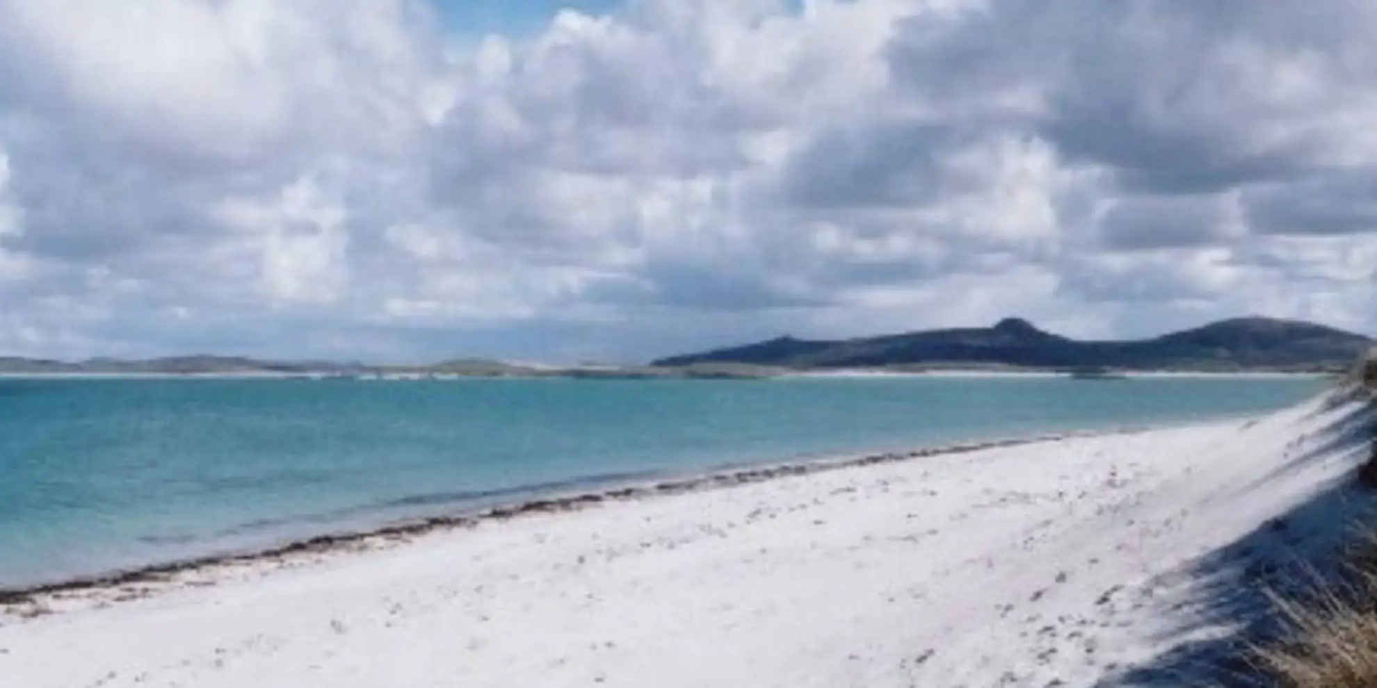 An image depicting the trail Grenitote Penisula Loop and its surrounding area.