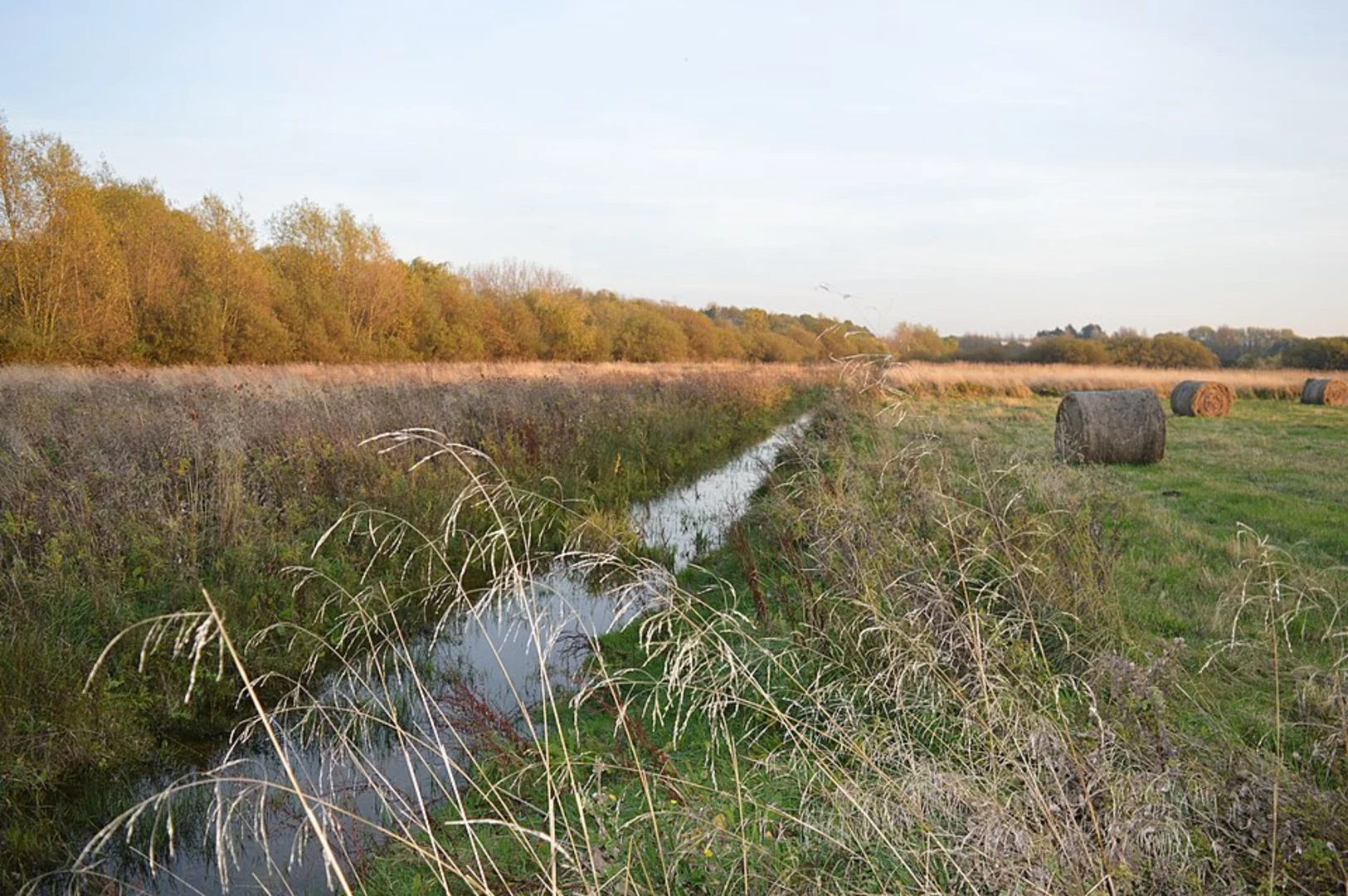 An image depicting the trail Priory lake , Fenlake Meadows Local Nature Reserve and Priory Country Park Loop and its surrounding area.