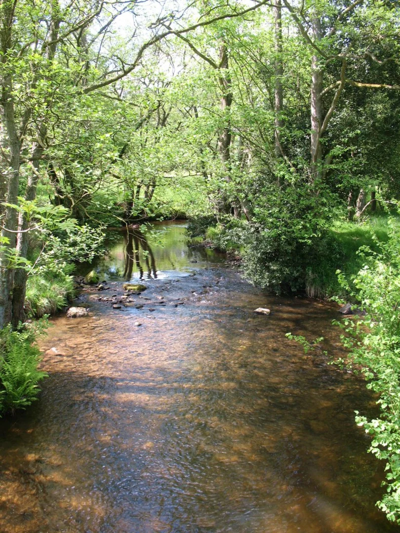 An image depicting the trail River Riccal Loop from Helmsley and its surrounding area.
