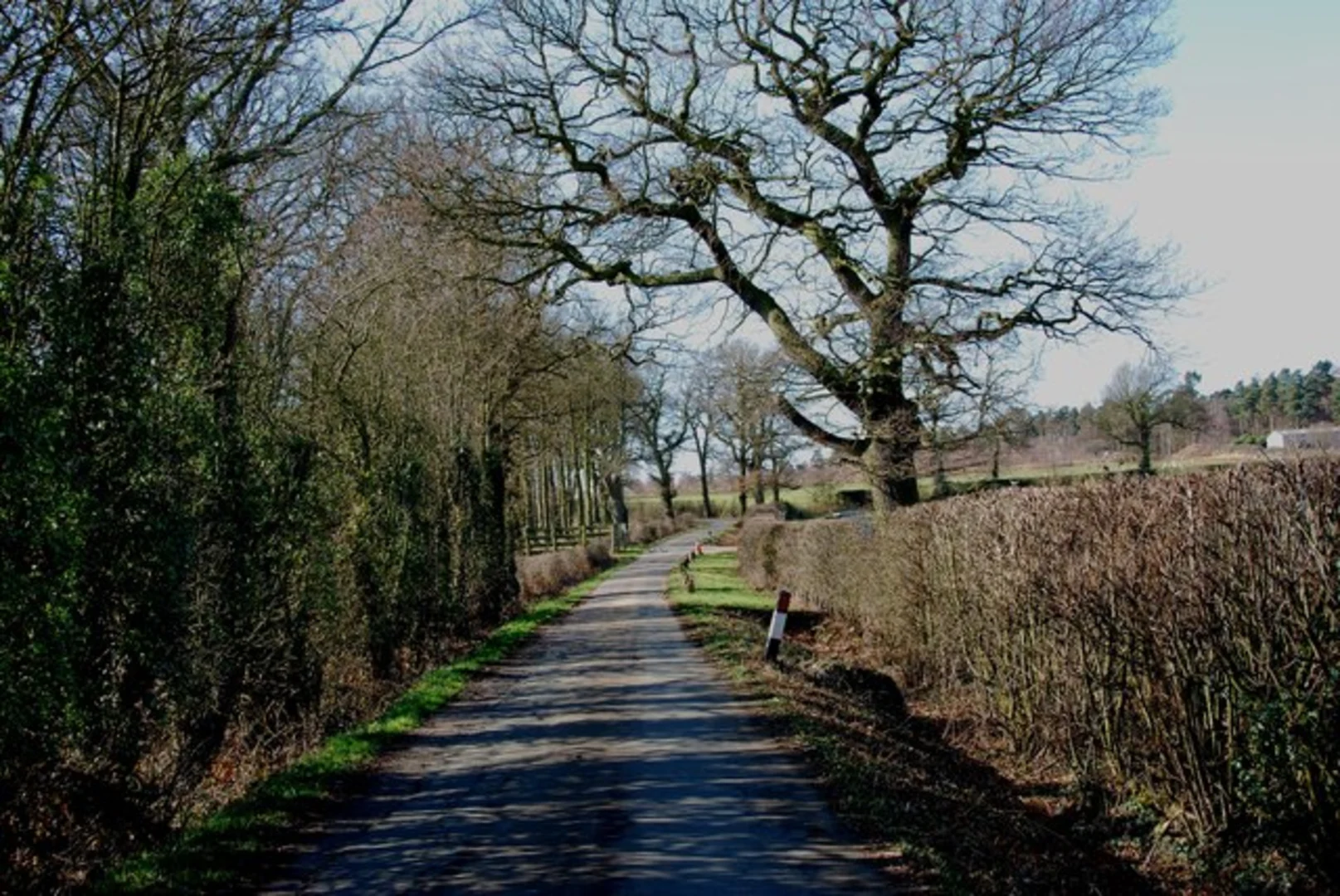 An image depicting the trail Canwell to Hints Walk and its surrounding area.