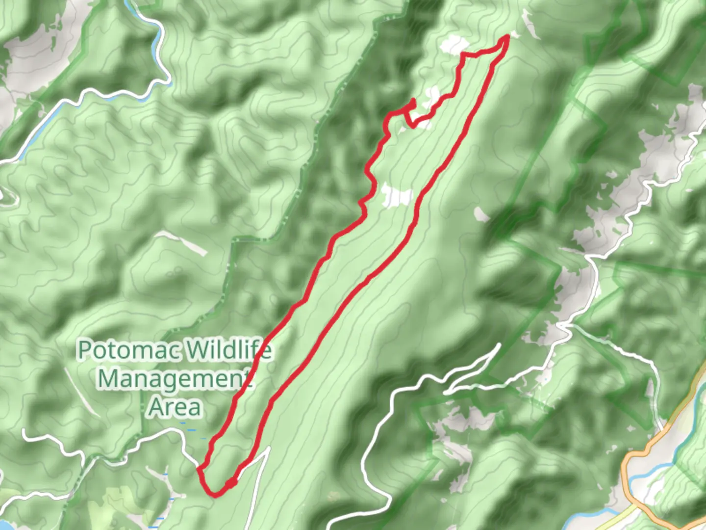 An image depicting the trail Lumberjack and Seneca Creek Loop Trail and its surrounding area.