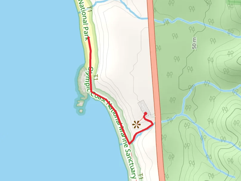 Kalaloch Beaches Walk - Short