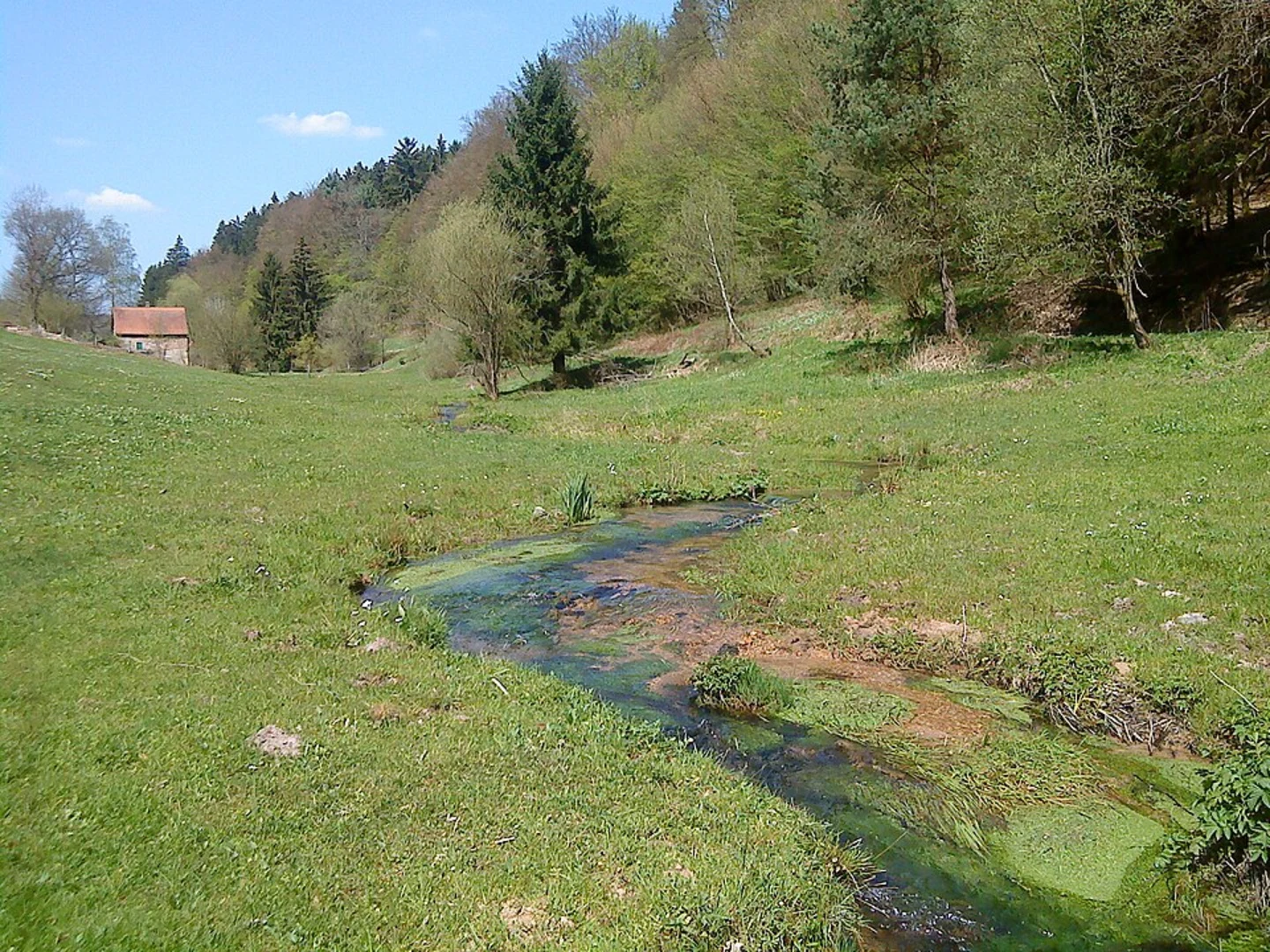 An image depicting the trail Florsbachtal Loop and its surrounding area.